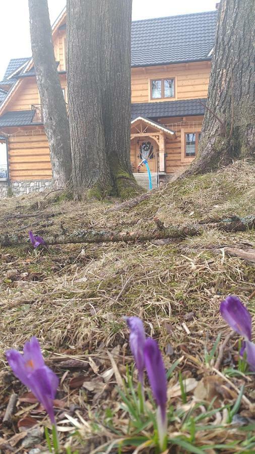 Domek, Apartamenty I Pokoje Willa Elita กอสเชียลิสกอ ภายนอก รูปภาพ